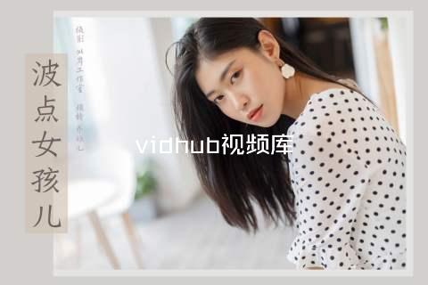 vidhub视频库